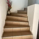 Comfort * טריקלה